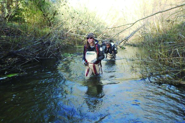 MMWD enhancement projects improve Lagunitas Creek habitat conditions